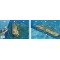 Benwood in Key Largo, Florida (8.5 x 5.5 Inches) (21.6 x 15cm) - New Art to Media Underwater Waterproof 3D Dive Site Map