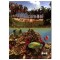 Dive Travel Fiji DVD The Tropical South Pacific Islands