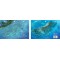 Grecian Rocks in Key Largo, Florida (8.5 x 5.5 Inches) (21.6 x 15cm) - New Art to Media Underwater Waterproof 3D Dive Site Map