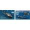 Miracle of Life in Fort Lauderdale, Florida (8.5 x 5.5 Inches) - New Art to Media Underwater Waterproof 3D Dive Site Map