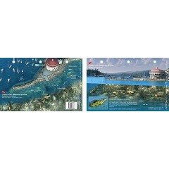 Avalon in Catalina Island, California (8.5 x 5.5 Inches) (21.6 x 15cm) - New Art to Media Underwater Waterproof 3D Dive Site Map