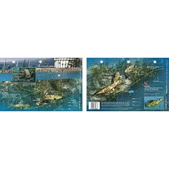 Kimset in Catalina Island, California (8.5 x 5.5 Inches) (21.6 x 15cm) - New Art to Media Underwater Waterproof 3D Dive Site Map