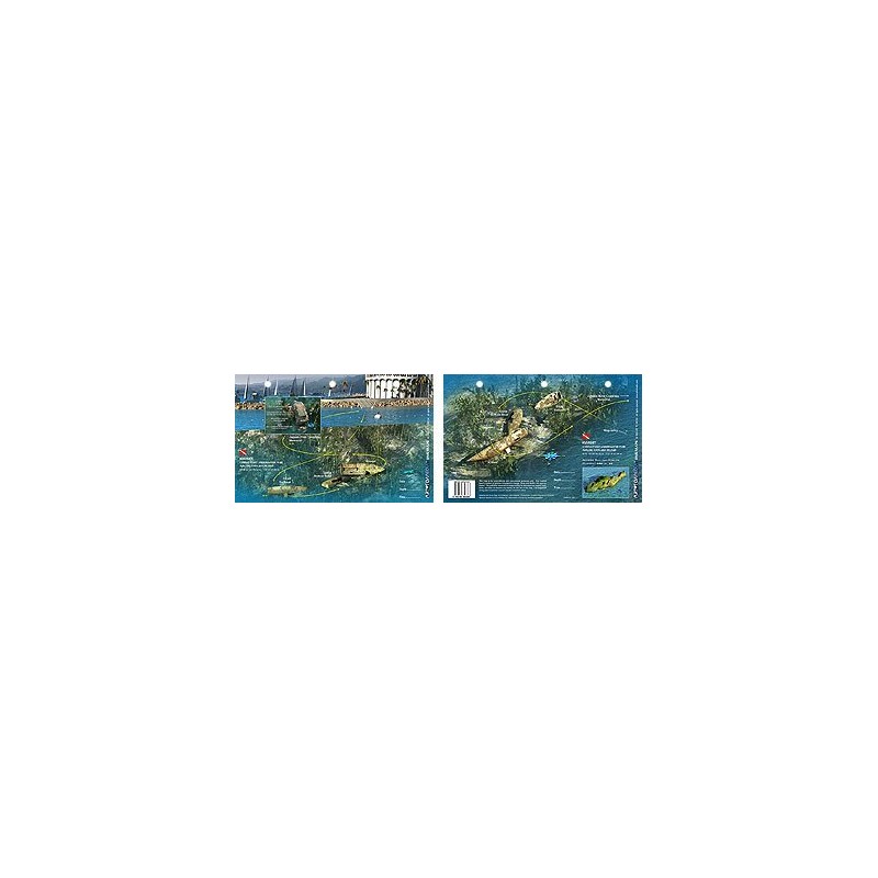Kimset in Catalina Island, California (8.5 x 5.5 Inches) (21.6 x 15cm) - New Art to Media Underwater Waterproof 3D Dive Site Map