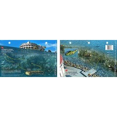 Old Swim Platform in Catalina Island, California (8.5 x 5.5 Inches) - New Art to Media Underwater Waterproof 3D Dive Site Map