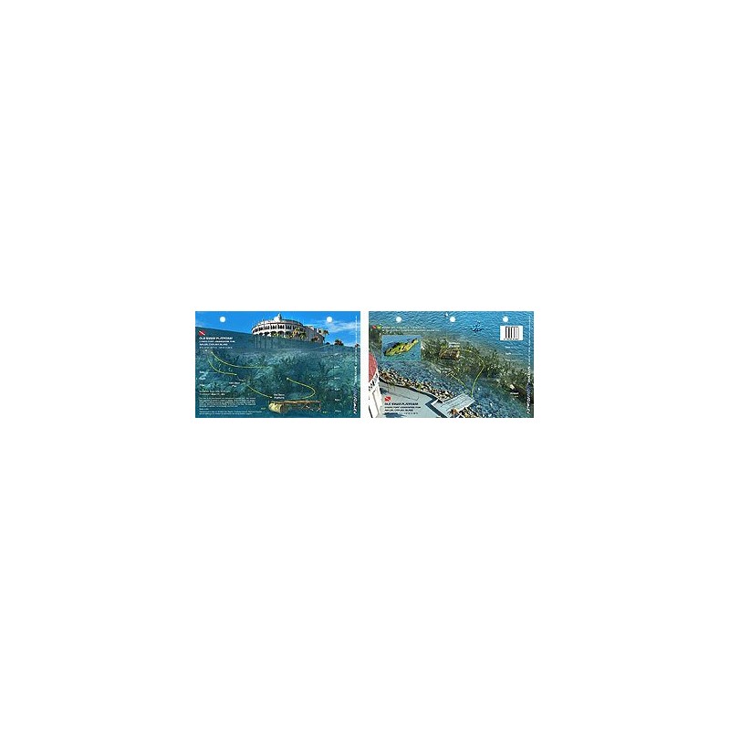 Old Swim Platform in Catalina Island, California (8.5 x 5.5 Inches) - New Art to Media Underwater Waterproof 3D Dive Site Map