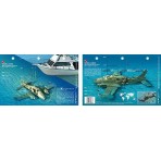 Cessna 310 in the Bahamas (8.5 x 5.5 Inches) (21.6 x 15cm) - New Art to Media Underwater Waterproof 3D Dive Site Map