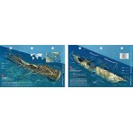Carnatic in the Red Sea, Egypt (8.5 x 5.5 Inches) (21.6 x 15cm) - New Art to Media Underwater Waterproof 3D Dive Site Map