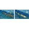 Carnatic in the Red Sea, Egypt (8.5 x 5.5 Inches) (21.6 x 15cm) - New Art to Media Underwater Waterproof 3D Dive Site Map